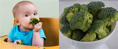 manfaat brokoli untuk bayi 6 bulan