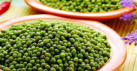manfaat kacang hijau untuk kesuburan