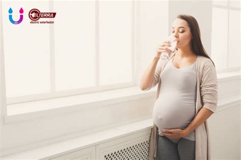 manfaat minum air hangat untuk ibu hamil