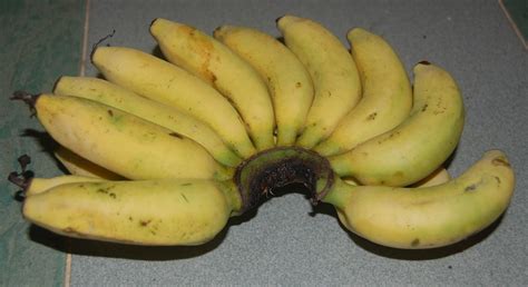 manfaat pisang emas