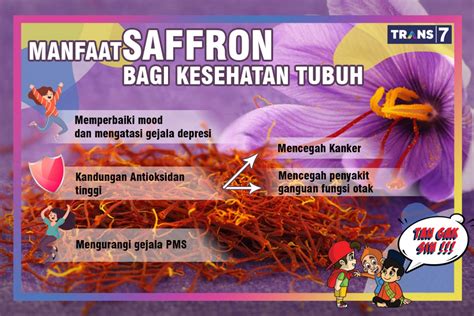 manfaat saffron