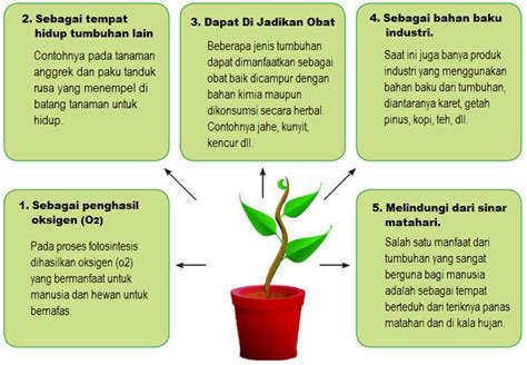 manfaat tumbuhan bagi manusia