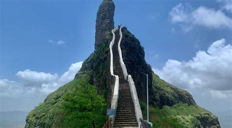Mangi Tungi Total Steps