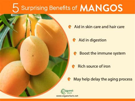 mango info1