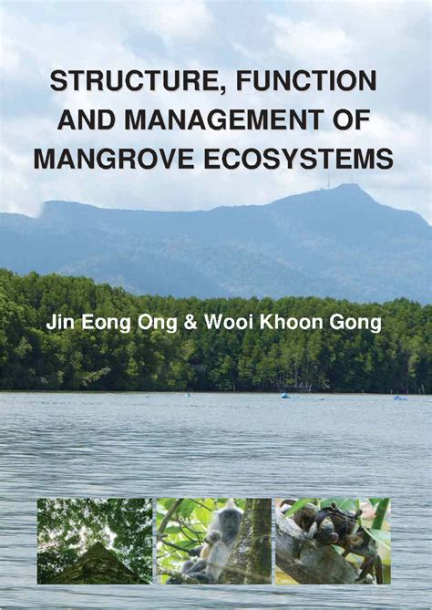 Mangrove Ecosystems Function And Management Envir