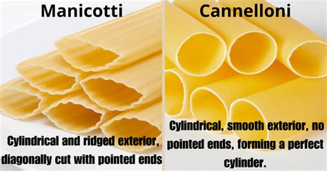 Manicotti Cannelloni Difference
