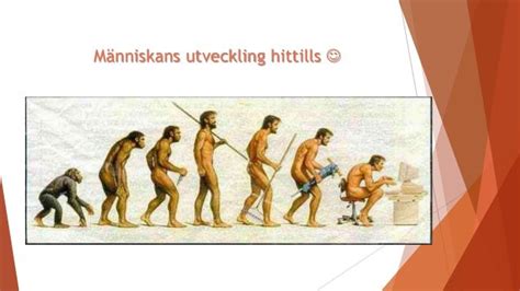 manniskans utveckling svans