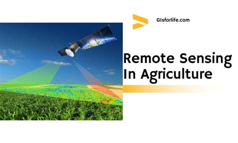 Manual Of Remote Sensing Remote Sensing For Natural Resource Management And Environmental Monitoring Volume 4