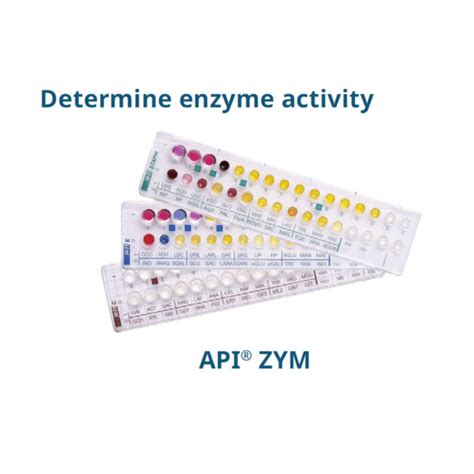 Manual Of Using Api Zym