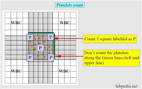 Manual Platelet Count