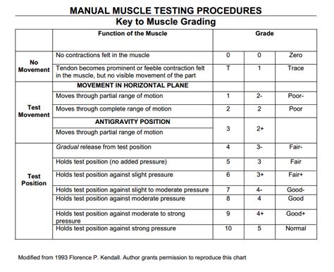 Read Manual Muscle Testing Chart 