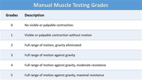 Read Manual Muscle Testing Chart 