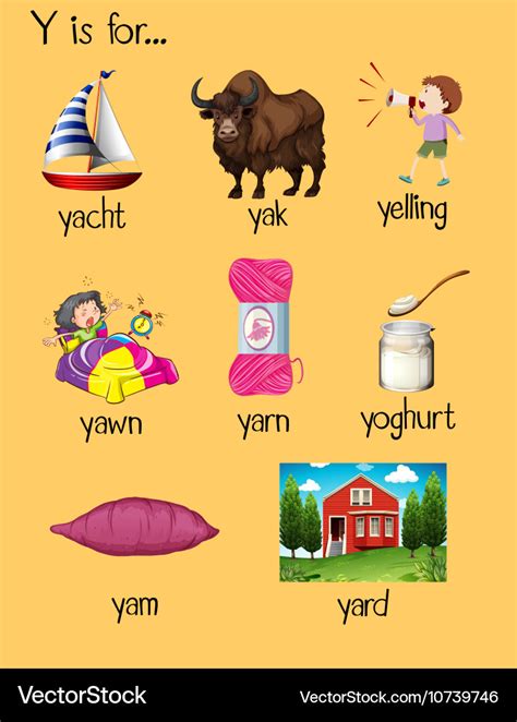 Many Words Begin With Letter Y Pictures Images Pictures That Begin With Letter Y - Pictures That Begin With Letter Y