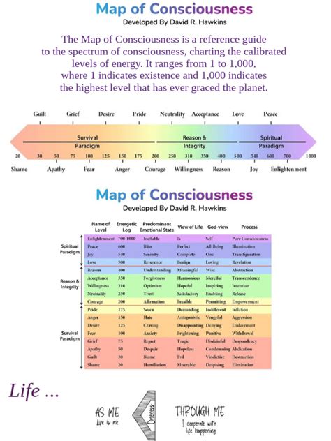 Map Of Consciousness Book