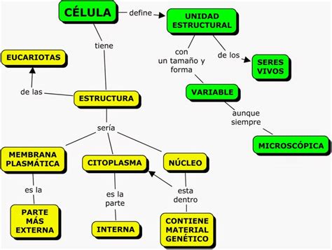 Mapa Conceptual De La Celula