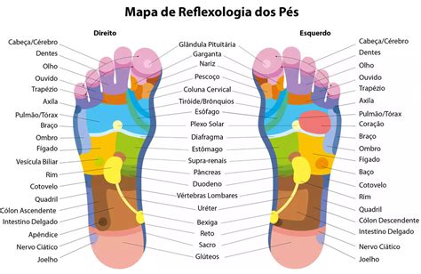 Mapa Da Reflexologia Podal