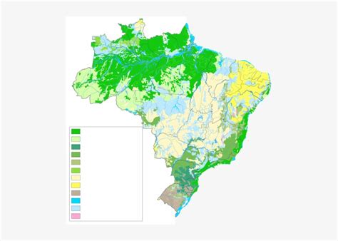 Mapa Da Vegetação Do Brasil