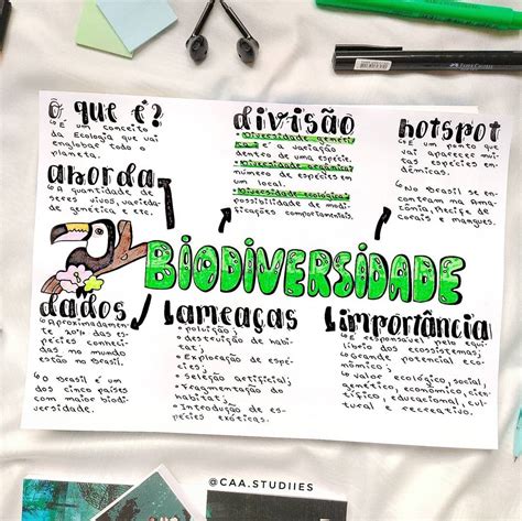 Mapa Mental Biodiversidade