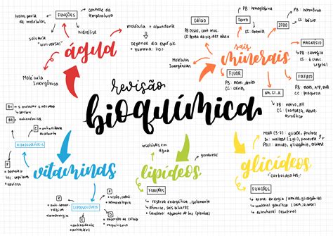 Mapa Mental Bioquimica