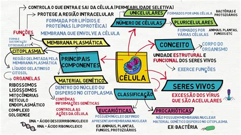 Mapa Mental Celulas