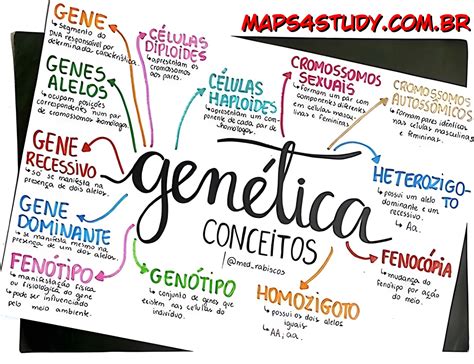Mapa Mental Genetica