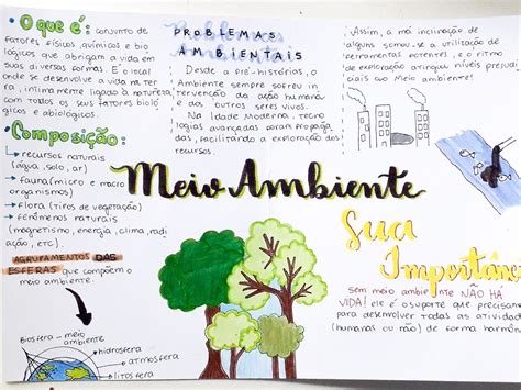 Mapa Mental Meio Ambiente