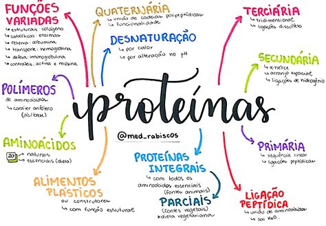 Mapa Mental Proteinas