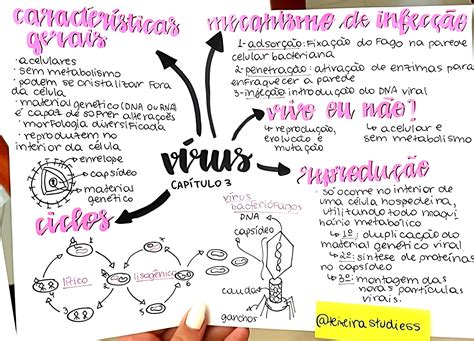 Mapa Mental Virus