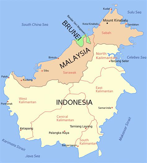 Małpa Z Borneo