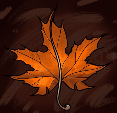 Full Download Maple 14 Tutorials Guides Ebooks 