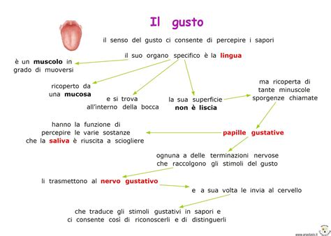 Mappe Del Gusto