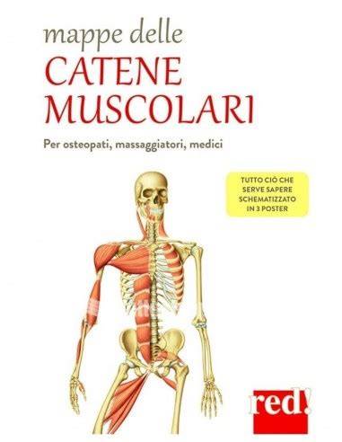 mappe delle catene muscolari