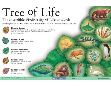 Mapping Biodiversity Science News Learning 6 3 Biodiversity Worksheet Answers - 6 3 Biodiversity Worksheet Answers