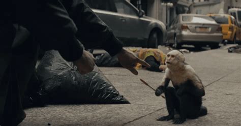 marcel the monkey biography examples