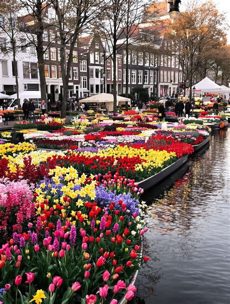 Marché Fleurs Amsterdam