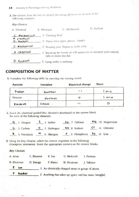 Marieb Coloring Workbook Answer Key