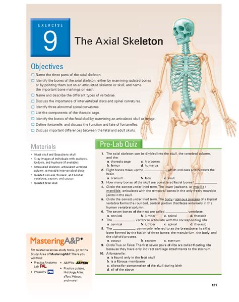 marieb lab manual skeletal system