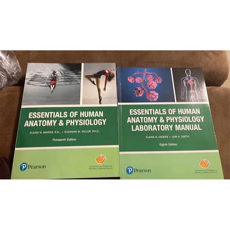 Read Online Marieb Anatomy And Physiology 8Th Edition 