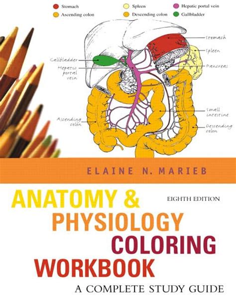 Download Marieb Anatomy Coloring 10Th Edition 