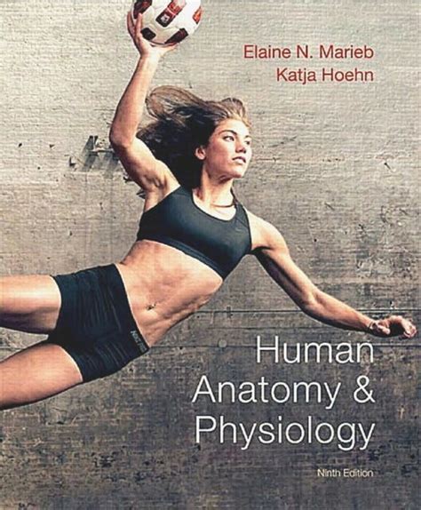 Full Download Marieb And Hoehn Human Anatomy Physiology 9Th Edition 