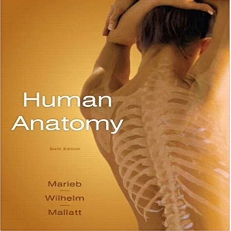 Read Online Marieb Human Anatomy 6Th Edition 