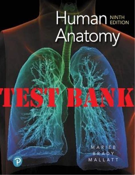 Download Marieb Human Anatomy Test Bank Answers 