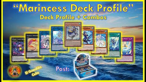 Spright leads! Techs and 1st place DECKLISTS! - TCG Metagame (AUGUST 2022)  