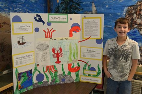 Marine Ecology Science Fair Projects And Experiments Julian Marine Science Experiment Ideas - Marine Science Experiment Ideas