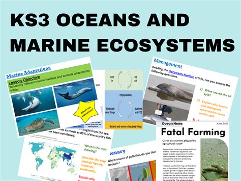 Marine Ecosystem Teaching Resources Tpt Marine Ecosystems Worksheet - Marine Ecosystems Worksheet