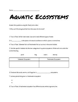 Marine Ecosystem Worksheet Teaching Resources Tpt Marine Ecosystems Worksheet - Marine Ecosystems Worksheet