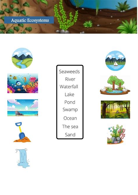 Marine Ecosystem Worksheets Learny Kids Marine Ecosystems Worksheet - Marine Ecosystems Worksheet