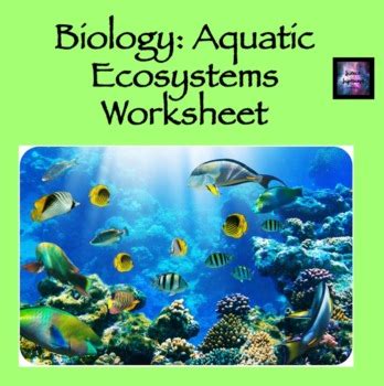 Marine Ecosystems Worksheet   Aurum Science Aquatic Ecosystems Teaching Resources - Marine Ecosystems Worksheet