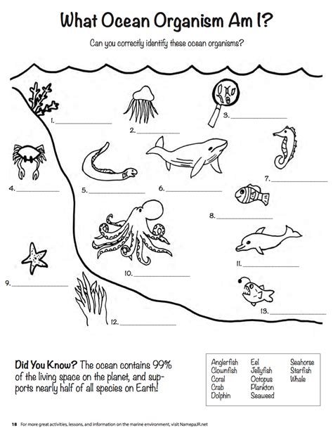 Marine Life Worksheets Facts Activities Amp Lesson Resources Marine Ecosystems Worksheet - Marine Ecosystems Worksheet