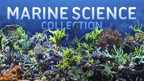 Marine Science Pbs Learningmedia Marine Science Worksheets - Marine Science Worksheets